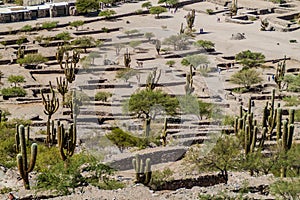 Ruins of Quilmes