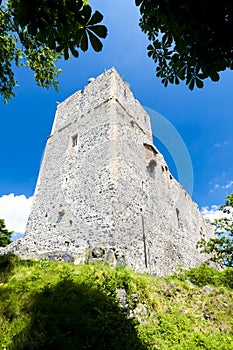 ruins of Radyne Castle, Czech Republic