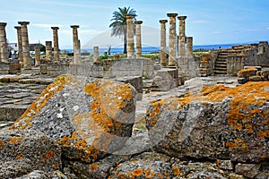 Ruins Roman in bolonia beach