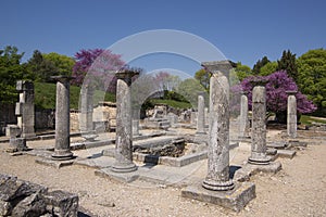 Roman ruins at Glanum photo