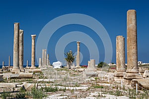 Ruins of the Roman city in Tyre