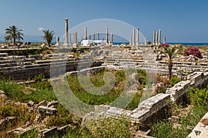 Ruins of the Roman city in Tyre