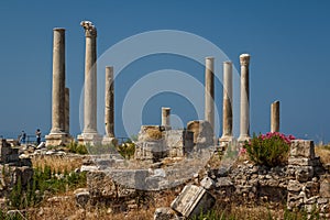 Ruins of the Roman city in Tyre