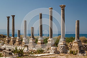 Ruins of the Roman city in Tyre
