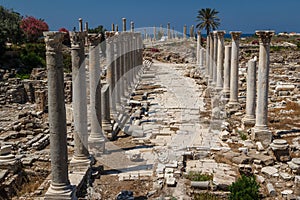 Ruins of the Roman city in Tyre