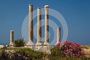 Ruins of the Roman city in Tyre