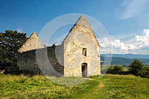 Ruins of a Romanesque church in Haluzice, Slovakia