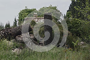 Ruins and rubble consumed by nature