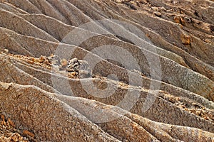 Ruins of Safi and its picturesque beaches