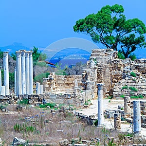 Ruins of Salamis near Famagusta
