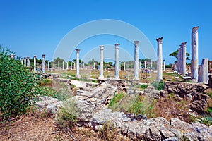 Ruins of Salamis near Famagusta