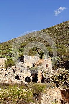 Ruins in san pedro, san luis potosi, mexico I
