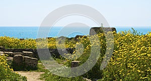 The ruins and the sea