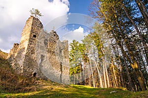Ruins of Sklabina castle, Slovakia.