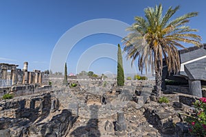 The ruins in the small town Capernaum on the coast of the lake of Galilee. According to the bible this is the place where Jesus