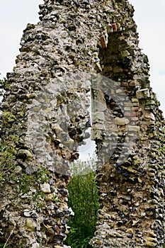 Ruins of St. Saviour`s Church, Surlingham, Norfolk Broads, England, UK