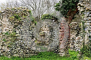 Ruins of St. Saviour`s Church, Surlingham, Norfolk Broads, England, UK