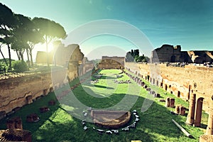 Ruins of Stadium Domitanus at the Palatine Hill in Rome photo
