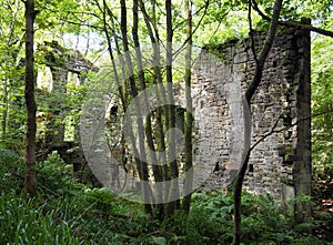 Ruins of staups mill in jumble hole clough in woodland