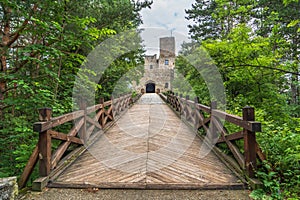 Ruins of Strecno Castle from wooden bridge