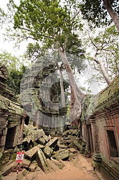 Ruins of Ta Prohm, Angkor Wat, Cambodia