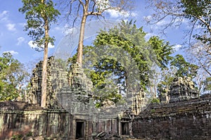 Ruins of Ta Prohm in Siem Reap, Cambodia. photo