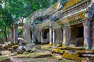 Ruins of Ta Prohm temple