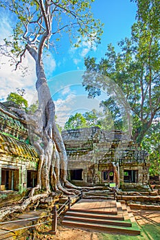 Ruins of Ta Prohm temple