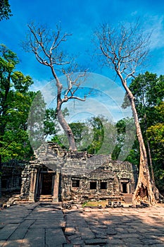 The ruins of Ta Prohm Temple