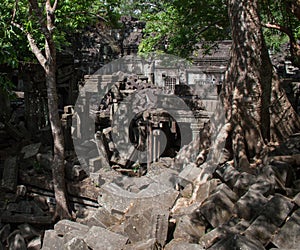 Ruins of Ta Prohm temple