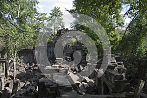 Ruins of Ta Prohm temple