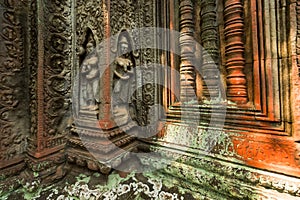 Ruins of Ta Prohm temple