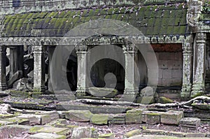 Ruins of the Ta Prohm temple in Angkor / Camobodia