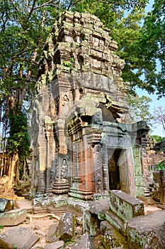 Ruins of Ta Prohm Temple, Angkor, Siem Reap, Cambodia. 