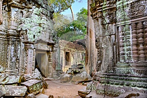 Ruins of Ta Prohm Temple, Angkor, Siem Reap, Cambodia. Big roots over walls and roof of a temple.