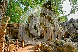 Ruins of Ta Prohm Temple, Angkor, Siem Reap, Cambodia. Big roots over walls and roof of a temple.