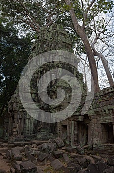 Ruins of Ta Prohm Temple at Angkor Wat in Cambodia