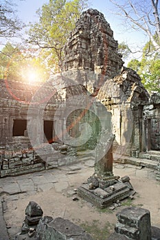 ruins of Ta Prohm temple in Angkor Wat Siem Reap, Cambodia,12th century