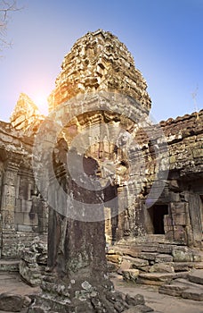 Ruins of Ta Prohm temple in Angkor Wat Siem Reap, Cambodia,12th century