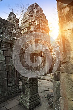 ruins of Ta Prohm temple in Angkor Wat Siem Reap, Cambodia,12th century