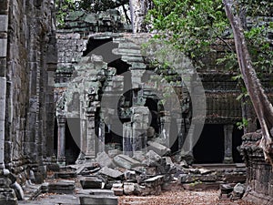 Ruins at Ta Prohm Temple, Siem Reap Province, Angkor\'s Temple Complex Site listed as World Heritage by Unesco, built in