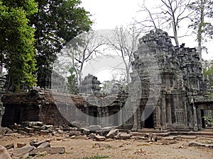 Ruins at Ta Prohm Temple, Siem Reap Province, Angkor\'s Temple Complex Site listed as World Heritage by Unesco , built in