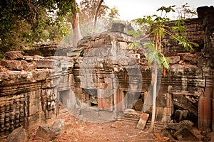 Ruins of the temle, Angkor, Cambodia