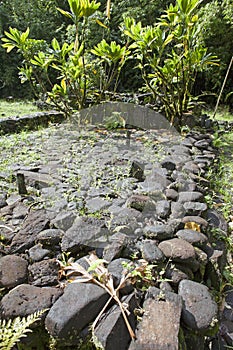 The ruins of the temple of the ancient gods in the jungle. Polynesia. Tahiti