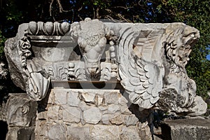 Ruins of the Temple of Apollo in Didim, Turkey