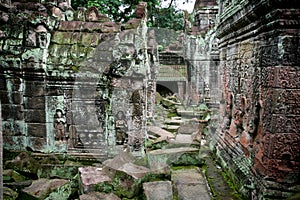 Ruins of a temple in the jungle near Angkor Wat, Siem Reap, Cambodia