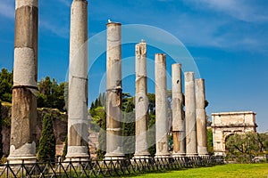 Ruins of the Temple of Venus and Roma located on the Velian Hill and Arch of Titus