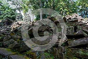 Ruins and tetrameles at Ta prohm temple