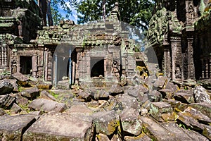 Ruins and tetrameles at Ta Prohm Temple