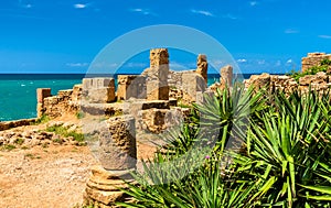 Ruins of Tipasa, a Roman colonia in Algeria, North Africa